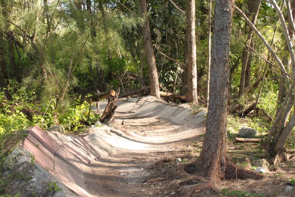 Virginia Key Mountain Bike Trail - Bike and Roll Miami